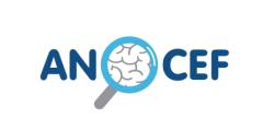 anocef.jpg